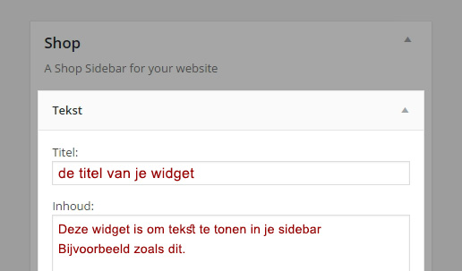voorbeeld tekst widget