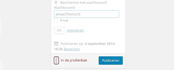 wijziging publiceren wordpress