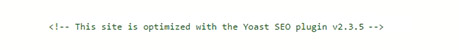 meta generator plugin