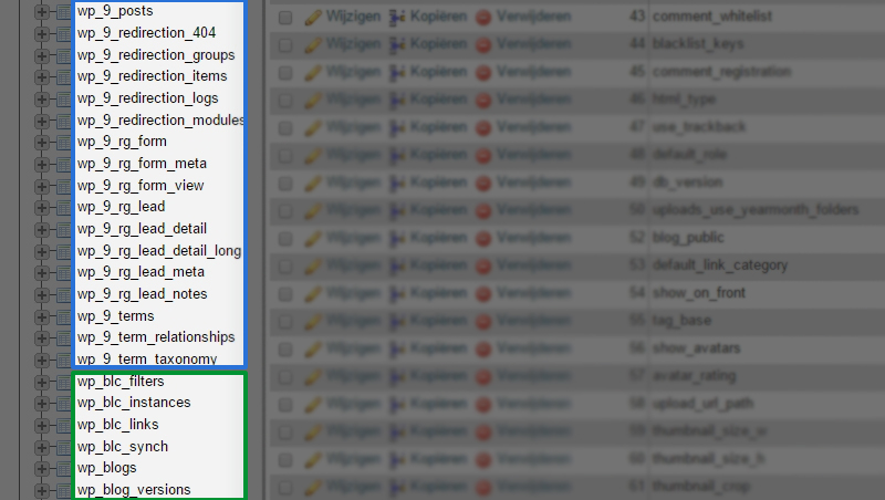 multisite in wordpress database