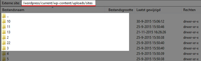 wordpress multisites