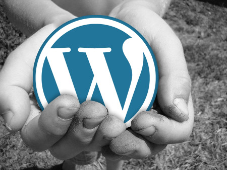 wordpress