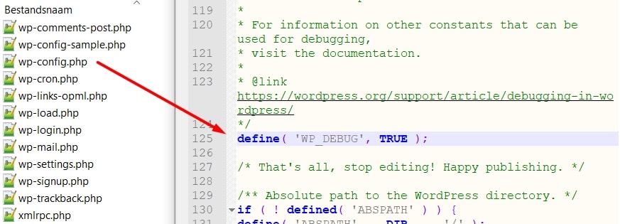 voorbeeld wordpress debug modus