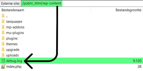 voorbeeld debug log wordpress