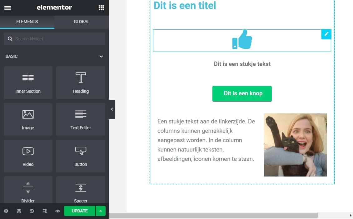 elementor voorbeeld