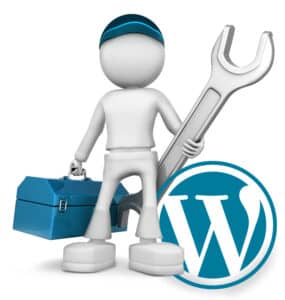 de expert voor het updaten van wordpress