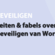 Featured image for Feiten & fabels over het beveiligen van WordPress in category BEVEILIGEN