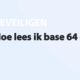 Featured image for Hoe lees ik base 64 code? in category BEVEILIGEN