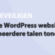 Featured image for Je WordPress website in meerdere talen tonen in category BEVEILIGEN