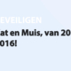 Featured image for Kat en Muis, van 2015 naar 2016! in category BEVEILIGEN