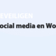 Featured image for Social media en WordPress in category BEVEILIGEN