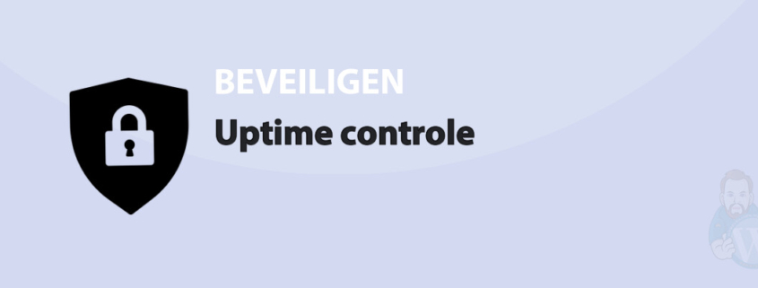 Featured image for Uptime controle in category BEVEILIGEN