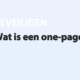 Featured image for Wat is een one-page website? in category BEVEILIGEN