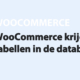 Featured image for WooCommerce krijgt eigen tabellen in de database in category WOOCOMMERCE